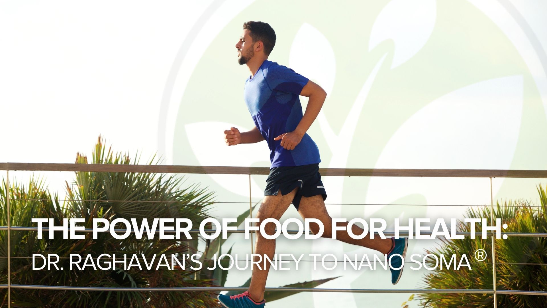Poder Food El poder de los alimentos para la salud: El viaje del Dr. Raghavan ...